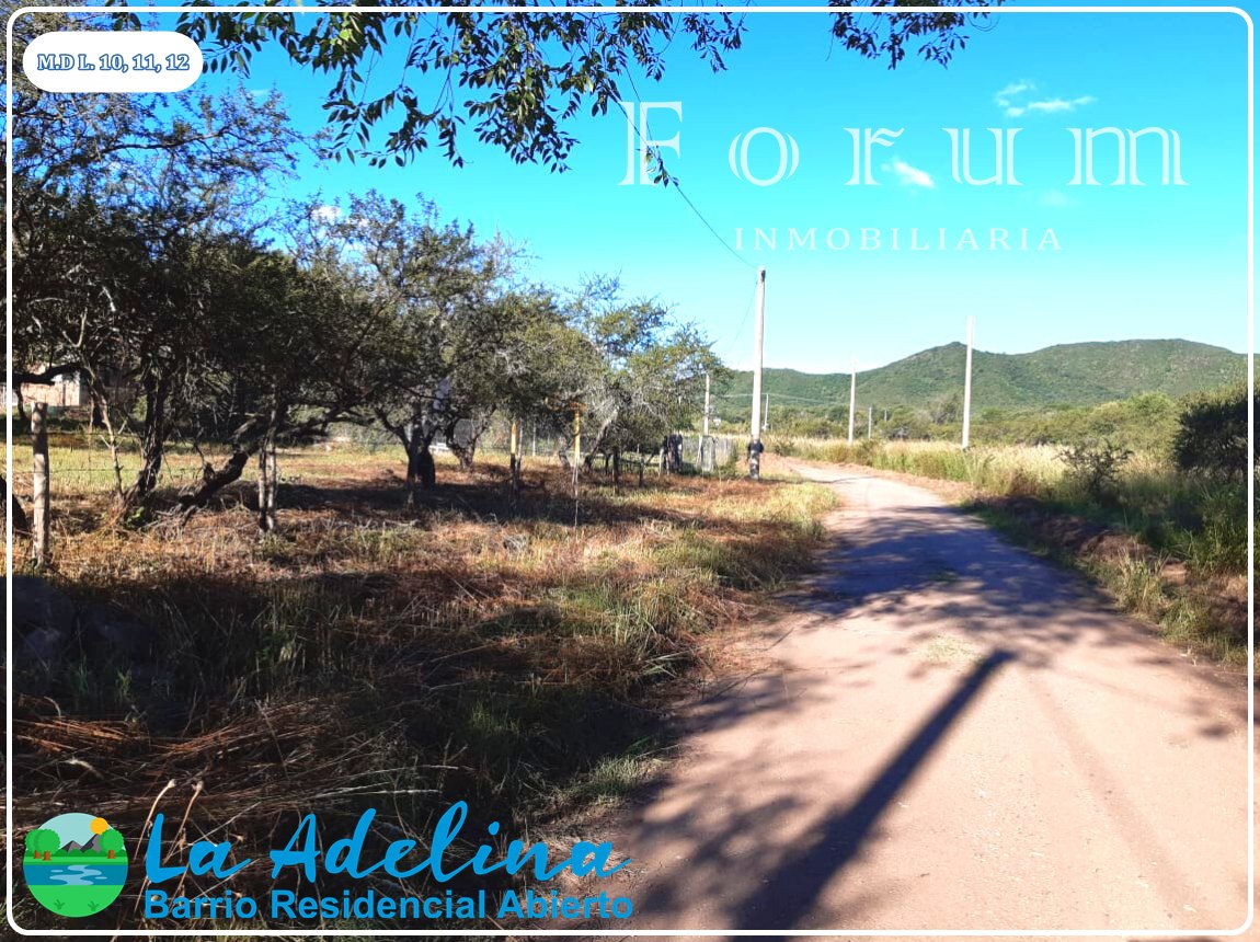 La Adelina — imagen 3