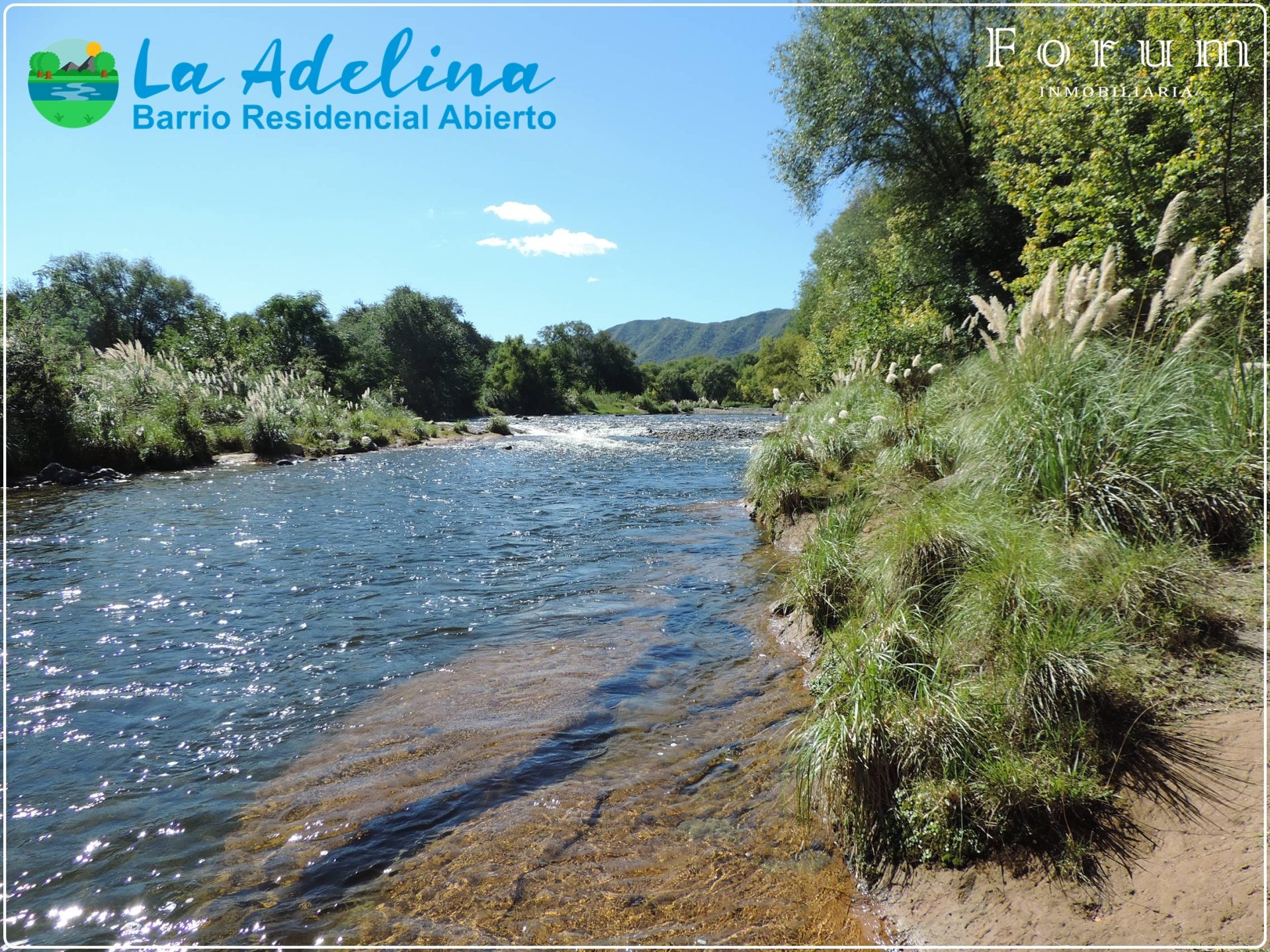 La Adelina — imagen 4